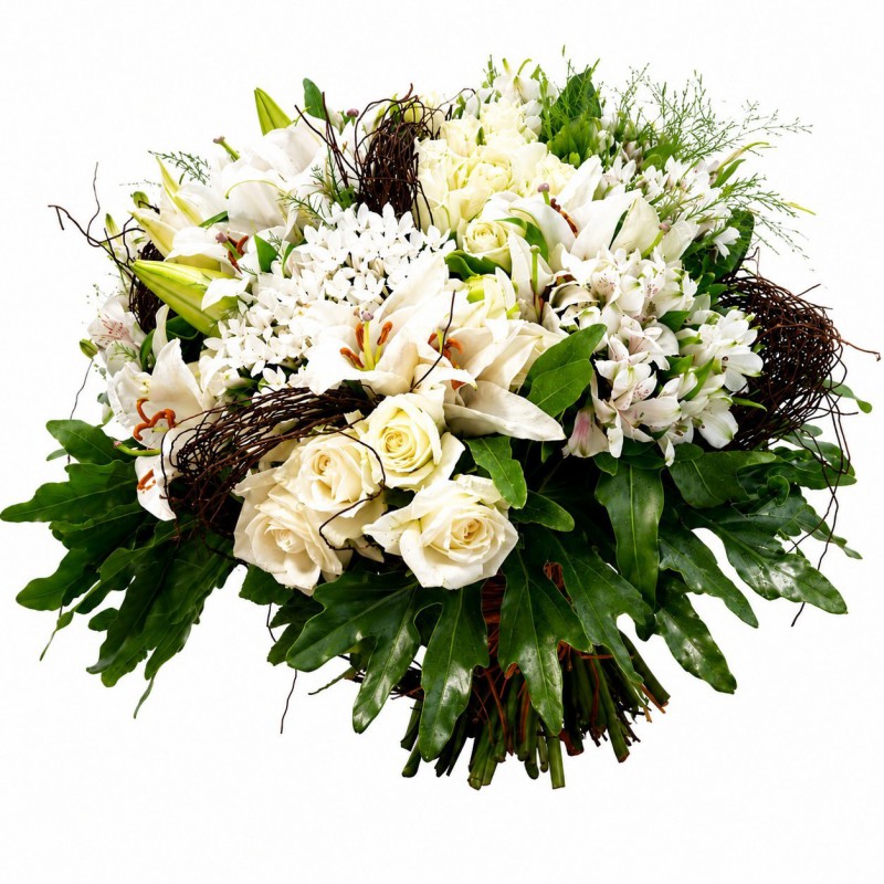 Magie Blanche