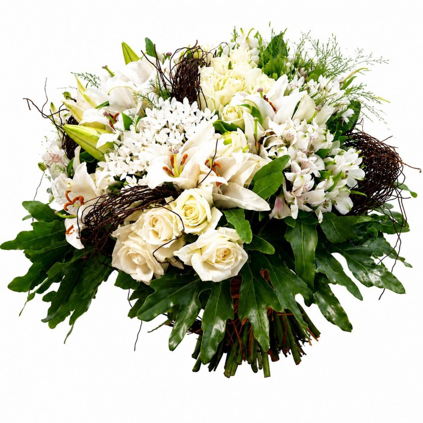 Magie Blanche